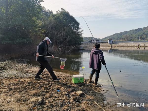 钓鱼水草地方有哪些_水草边钓鱼好还是草洞钓鱼好_水草多的地方怎么钓鱼