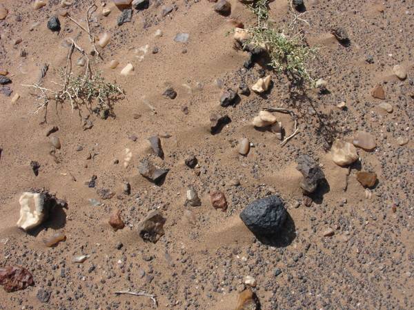 沙漠漆奇石金奖图片_沙漠漆原石又叫什么莫名字_真的沙漠漆奇石的图片