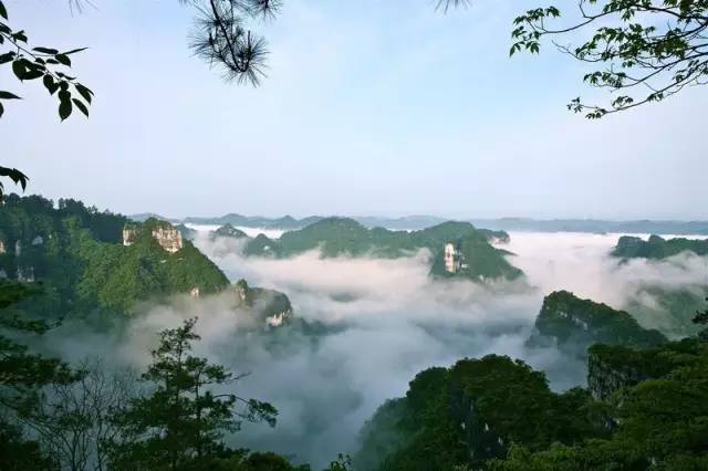 广西发展好还是贵州发展好_广西和贵州哪个发展潜力大_广西和贵州谁发展得快