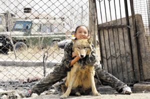 9岁女孩与狼同笼表演