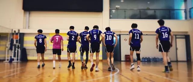 上海排球联赛官网_上海排球联赛初中_上海排球联赛